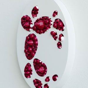 Sugar Blossom 5 by Nikki Renee Anderson 