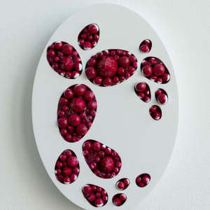 Sugar Blossom 5 by Nikki Renee Anderson 