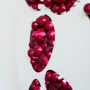 Sugar Blossom 5 by Nikki Renee Anderson 