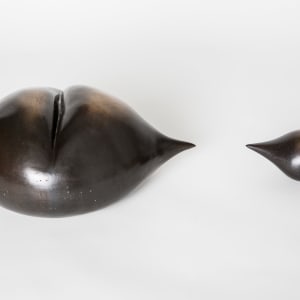 Bubble Drop by Nikki Renee Anderson 