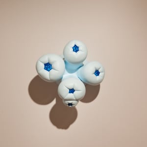 Budding Delight by Nikki Renee Anderson 