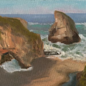 Shark Fin Cove by Janie Snowden