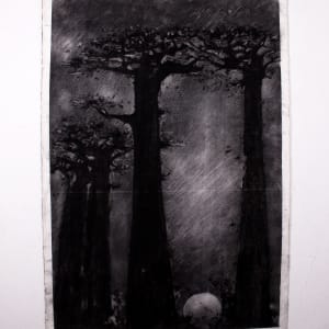 “Baobabs at dusk” Print by Lwazi Hlophe