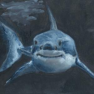 Shark 1 by Claire Partin, Image 8.