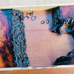 Nature’s Puzzle by Martin Halpin (Mandara), Image 2.