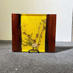 A Branch Remembered by Martin Halpin (Mandara) 