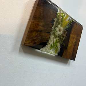 Redwood Crevice by Martin Halpin (Mandara) 