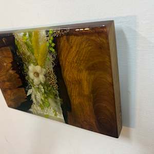 Redwood Crevice by Martin Halpin (Mandara) 