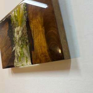 Redwood Crevice by Martin Halpin (Mandara) 