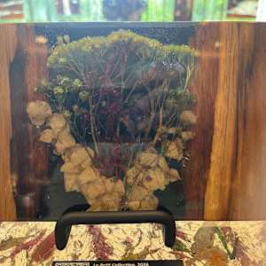 La Petit Collection 103 by Martin Halpin (Mandara), Image 3.