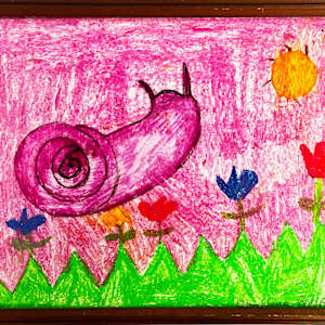 Snail Trail by Sharlene M