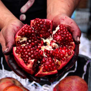 The Pomegranate Juicer by Hisham Assaad