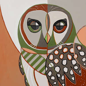 Sooty  (Sooty Owl) by Jan Lawnikanis