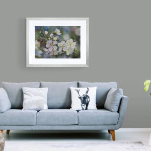 The Awakening by Jan Lawnikanis  Image: In-situ mockup