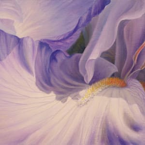 A Purple Heart by Judy Leila Schafers