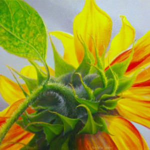 The Sun Comes Shining Through by Judy Leila Schafers, Image 1.