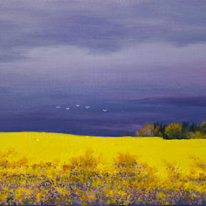 Summer  Perspectives by Judy Leila Schafers, Image 1.