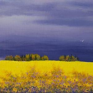 Summer  Perspectives by Judy Leila Schafers, Image 4.