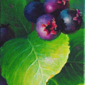 Juicy by Judy Leila Schafers, Image 1.