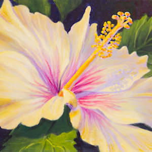 Afternoon Glow by Judy Leila Schafers, Image 1.