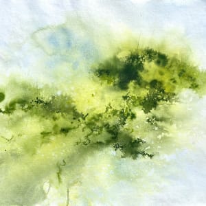 Sphagnum Rainfall April 10th by Lisa Fenton O'Brien