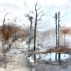 Trees at the Balgy by Lisa Fenton O'Brien