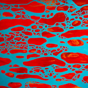 Connected metamorphosis by Anja Bamberg, Image 2.
