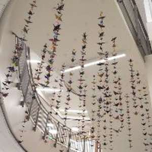 Thousand Cranes by Alexandra Faulkner 
