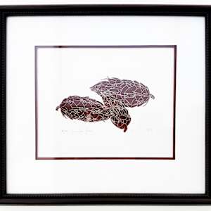 Douglas Fir by Henry Evans