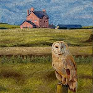 Jess by Madeline Collins