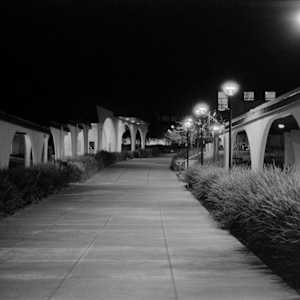 NightHawks by Salvador Siegel