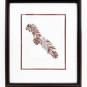 Redwood by Henry Evans