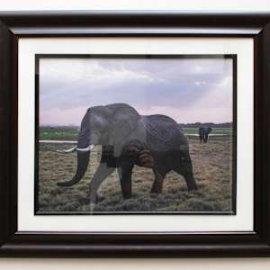 Massi Mara Nationak Park, Kenya – Elephants by Susan Lewis
