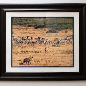 Massi Mara Nationak Park, Kenya – Mixed Animals by Susan Lewis
