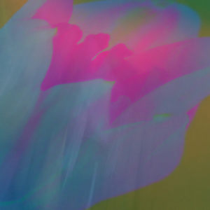 inner joy by Lou Liska, Image 3.