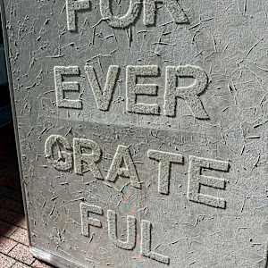 Forever Grateful (white on white) - Installed Coconut Grove by Peter Studl 