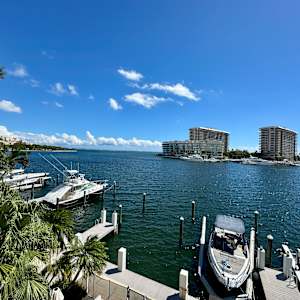 Skylark Sweep by Peter Studl 