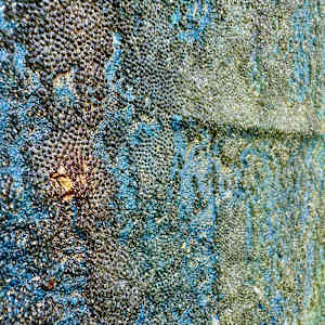 Geyser by Peter Studl 