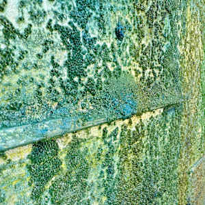 Geyser by Peter Studl 