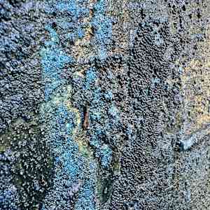 Geyser by Peter Studl 