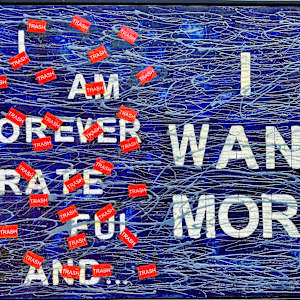 Trash by Peter Studl 