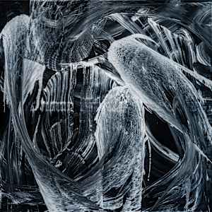 Dark Chaos by Ritu Raj