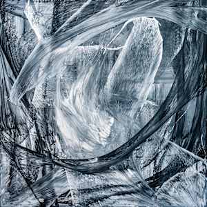 Chaos and Order by Ritu Raj