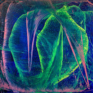 Emerald Crescendo by Ritu Raj