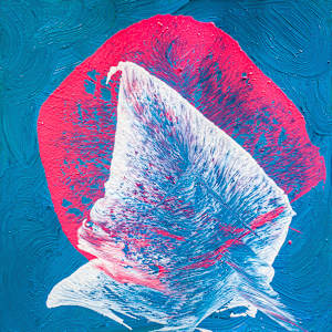 Fluid Heartbeat of Magenta and Sky by Ritu Raj