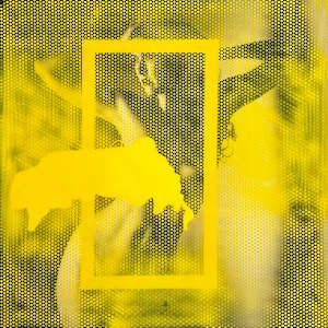 Form by Ritu Raj 