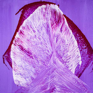 Pulse of the Purple Fan by Ritu Raj