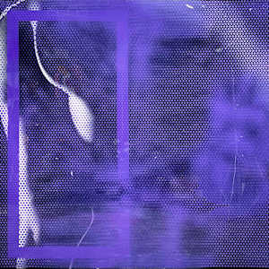 Purple Haze by Ritu Raj