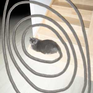 Là d’où je viens by Robin Lopvet