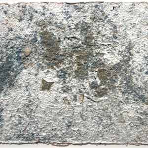 Dispersal1 by Eileen Ferara